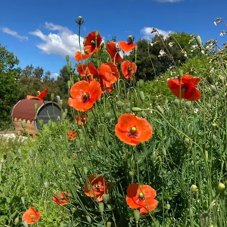 Quinta Vale De Palheiros Hotel