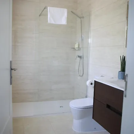 Quinta Vale De Palheiros 4* Santa Comba Dao