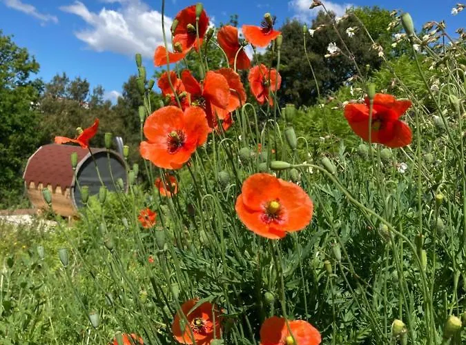 Quinta Vale De Palheiros 호텔