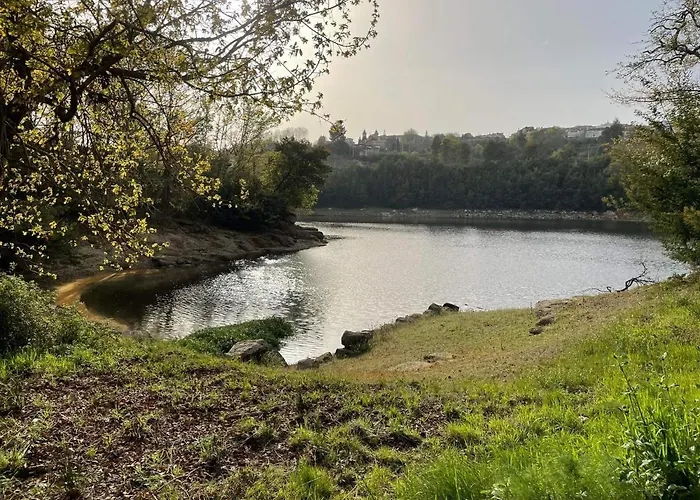 호텔 Quinta Vale De Palheiros 4*