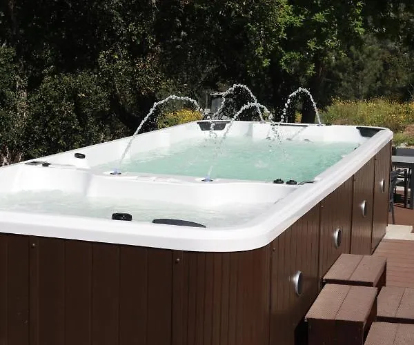 Quinta Vale De Palheiros 4* 산타 콤바 당